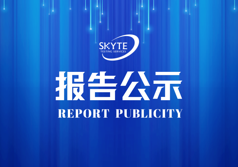 PJ-STXP240003-汕頭市新業花紙印刷有限公司技術報告公開信息表
